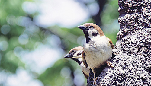 Ray ZHUANG/unsplash.com