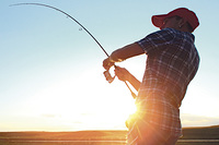 ©Dudarev Mikhail - stock.adobe.com