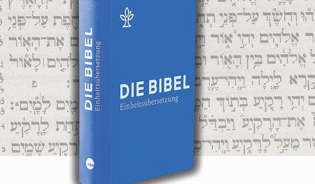 Karin Hintersteiner möchte die Bibel für Menschen „bewohnbar“ machen. 