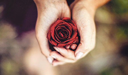 Am Valentinstag steht die Liebe von Paaren im Zentrum. Die Partner selbst lassen an diesem Tag oft Blumen für sich sprechen.