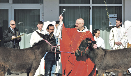 Pfarrer Franz Zeiger: „Der Bezug zu den Tieren im Pfarrhof war für die Flüchtlinge sehr wichtig.“  