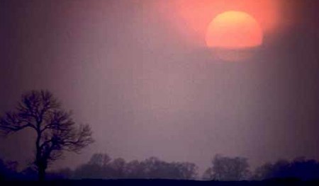 Kahler Baum mit Wintersonne - [(c) by BilderBox.com; Erwin Wodicka, A-4062 Breitbrunn. Tel.: 0043 676 5103 678. Veroeffentlichung nur nach unseren AGBs: www.bilderbox.com/agb.html. Bild honorarpflichtig! Konto DEU: Spk.Passau, BLZ 74050000, Kto.24081