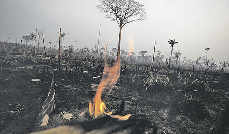 Angesichts der Brände in Amazonien und ihrer Zerstörungskraft rief auch der Ökumenische Patriarch Bartholomaios I. erneut die Menschheit zu einem Umdenken auf.   