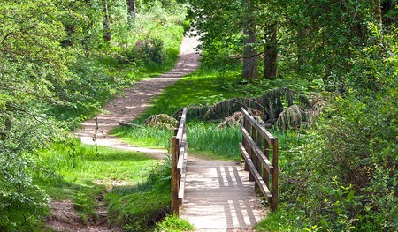 Neue Wege für viele Hauptamtliche in der Diözese Linz