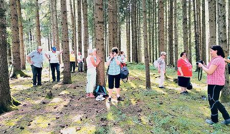 Die Teilnehmer/innen  an der Blindenfreizeit bei der Besinnung im Wald.