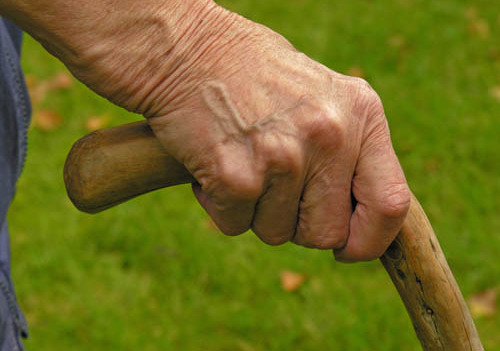 MR Hand von einer alten Frau st?tzt sich an einem knorrigen Stock aus Holz - MR hand of an old woman holding a knobbed old wooden cane