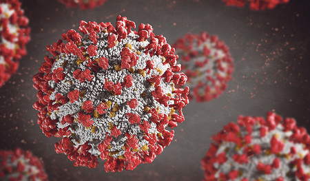 Unser Bild vom Virus  