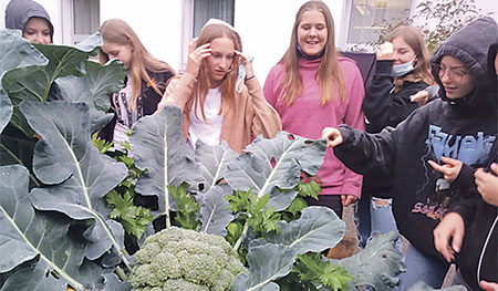 Die BAfEP betreibt ein umfangreiches Gartenprojekt.   