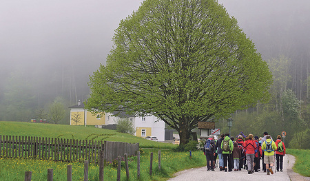 Auf dem Weg nach St. Wolfgang.   