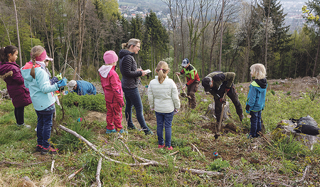 Aufforstung beim Petrinum 