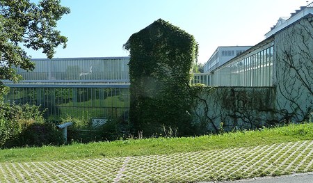 Salesianumsweg in Linz