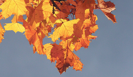 Buntheit in Farbe und Bedeutung    