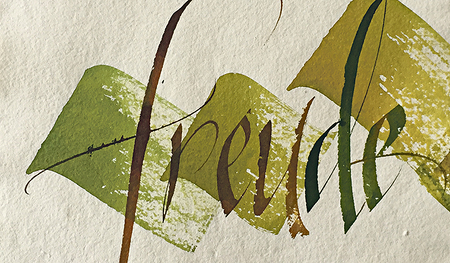 Arbeit von Andrea H. Felber.    