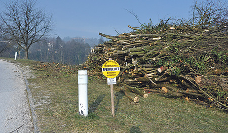 Forstarbeiten und der geplante Bau der Leichtathletik-Arena regen auf.  