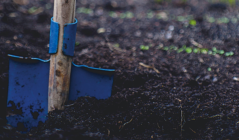 Markus Spiske/unsplash.com