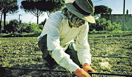 Lebensraum für Insekten schaffen – durch Landkauf 