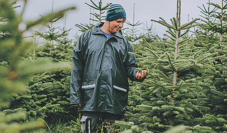 Mitarbeiter/innen des Diakoniewerks verkaufen Christbäume.