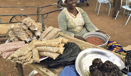 Das Angebot an Lebensmitteln, die auf den Markt kommen, ist spärlich