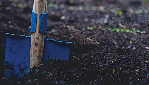 Markus Spiske/unsplash.com