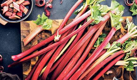 Rhabarber ist ein Gemüse. Von ihm sollten nur die Stängel verzehrt werden. 