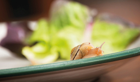 Ein Blick über den Tellerrand lohnt sich. 