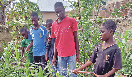 Die Kinder helfen im Garten und bei der Betreuung der Tiere mit.
