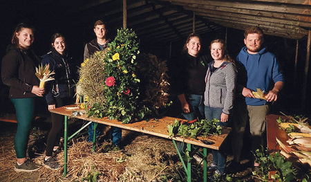 Die Jugendlichen beim Binden der Erntekrone.