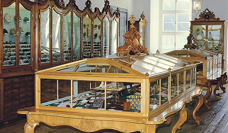 Die Wunderkammer im Stift Kremsmünster lädt zum Staunen ein.