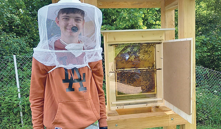Der Schaubienenstock ermöglich den Schüler/innen das Verhalten der Bienen mitzuverfolgen. 