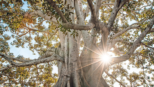 Jeremy Bishop / unsplash.com Starkes Fundament - jetzt und in Zukunft: Von Gott kommt alles und auf ihn läuft alles hinaus.