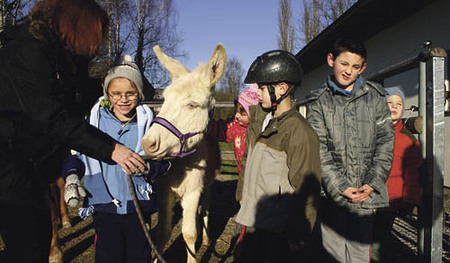 Caritas f?r Menschen mit Behinderung, St, Isidor, Hippotherapie, Esel Fridolin, Barockesel, seltene Rasse, von der es in ganz Europa nur noch 70 Tiere gibtTiere unterst?tzen Erziehung und Therapie, psychisch beeintr?chtigte Kinder, Isl?nder, Pferd, R