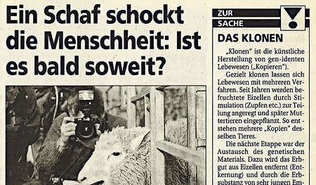 Das Schaf Dolly war das erste geklonte Säugetier.  
