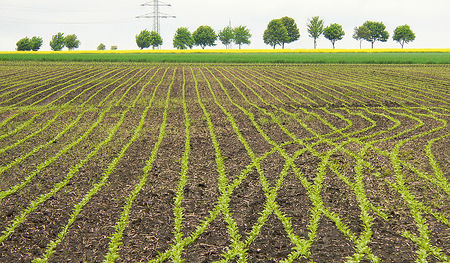 Derzeit ist die Zeit der Aussaat in der Landwirtschaft
