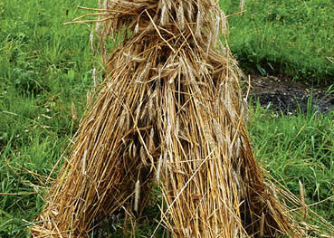 Baumkronenweg, Kopfing, Ausflug, Kornmanderl, Korn, Landwirtschaft, Ernte Franz Maria GlaserEinfaltstra?e 7, 4020 LinzBLZ 49460 SpardabankKontonummer 00-378.444