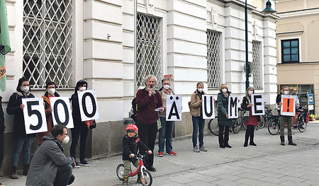 Für die gefällten Bäume forderte die Initiative „Grüngürtel schützen, jetzt!“ Nachpflanzungen von der Diözese Linz. 