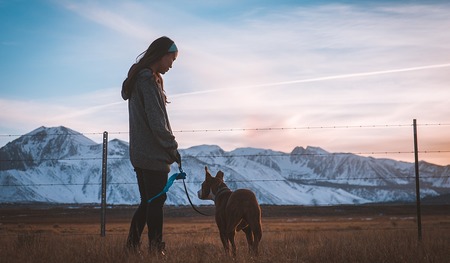 Auch im Bereich der Tierpflege kann man mit der App Freiwilligeneinsätze finden