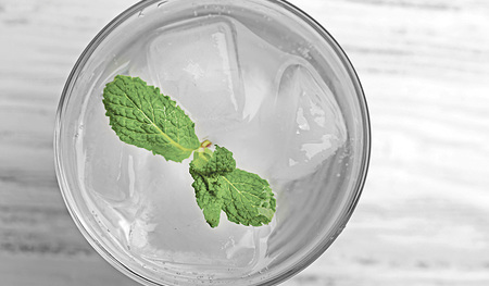 t Erfrischend einfach: Ein Glas Wasser mit Minze 