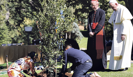 Im Vatikan werden Hoffnungs-Bäumchen gepflanzt.   