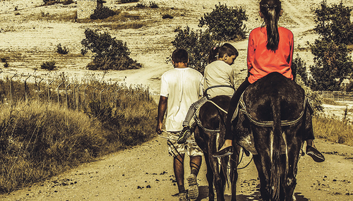 Dimitris Vetsikas / Pixabay