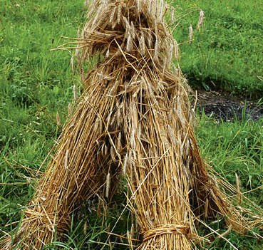 Baumkronenweg, Kopfing, Ausflug, Kornmanderl, Korn, Landwirtschaft, Ernte Franz Maria GlaserEinfaltstra?e 7, 4020 LinzBLZ 49460 SpardabankKontonummer 00-378.444