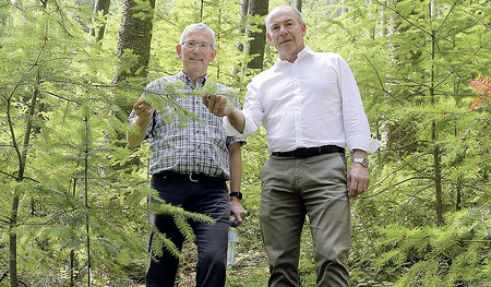 Bischofsvikar Johann Hintermaier und Agrar-Landesrat Max Hiegelsberger im Domkapitelwald 