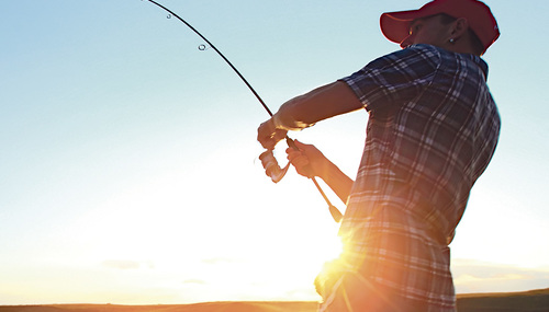 ©Dudarev Mikhail - stock.adobe.com