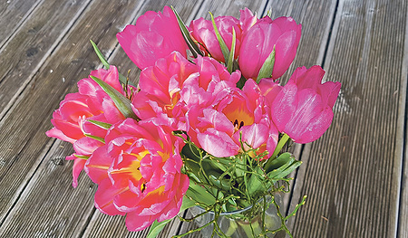 Aufblühen wie Blumen